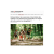 Article The conversation_image_site_V2